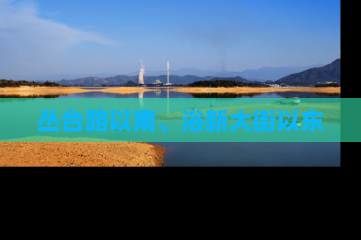 丛台路以南、浴新大街以东