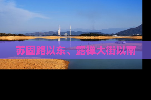 苏固路以东、露禅大街以南
