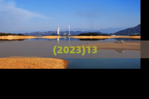(2023)13