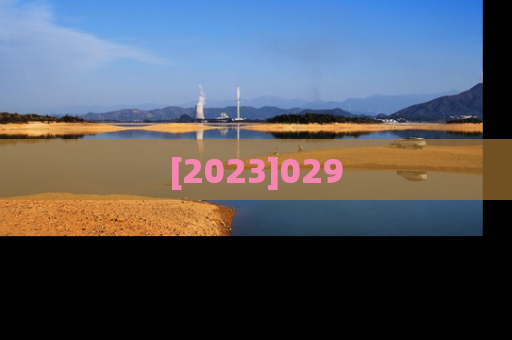 [2023]029