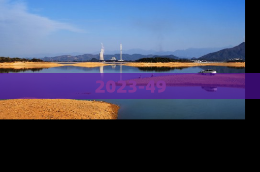 2023-49