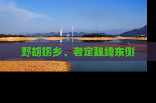野胡拐乡、老定魏线东侧