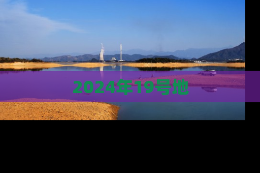 2024年19号地