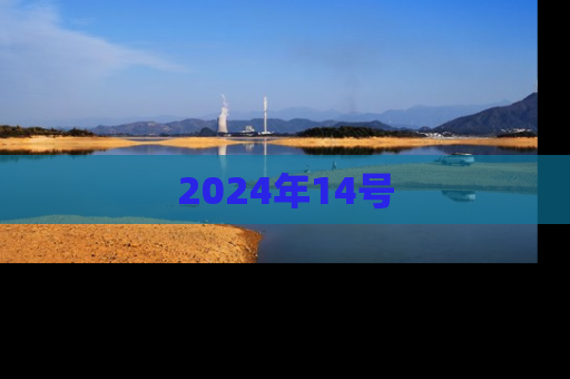 2024年14号