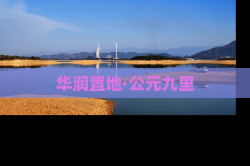 华润置地·公元九里