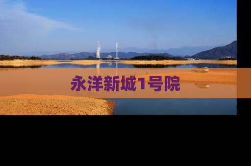 永洋新城1号院
