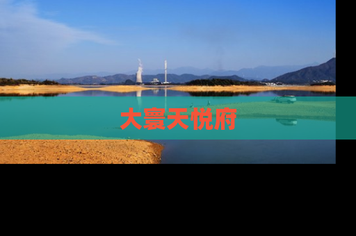 大寰天悦府